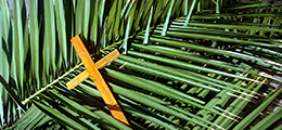 palm fronds with cross